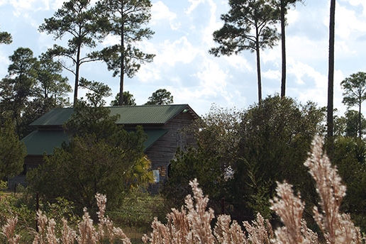 Widgeon Point Preserve