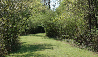 Arthur Horne Nature Park