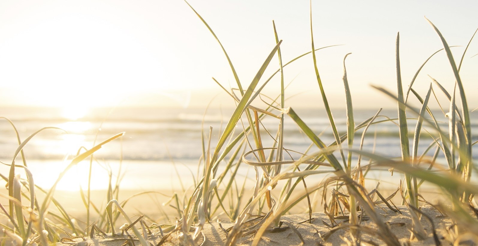 Alljoy Beach in Bluffton Closed Until Further Notice