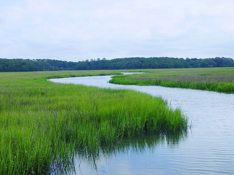 Beaufort County Draft Comprehensive Plan Available for Review and Public Comment