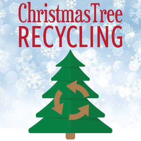 Beaufort County Encourages  Recycling of Live Christmas Trees and Other Items this Holiday Season