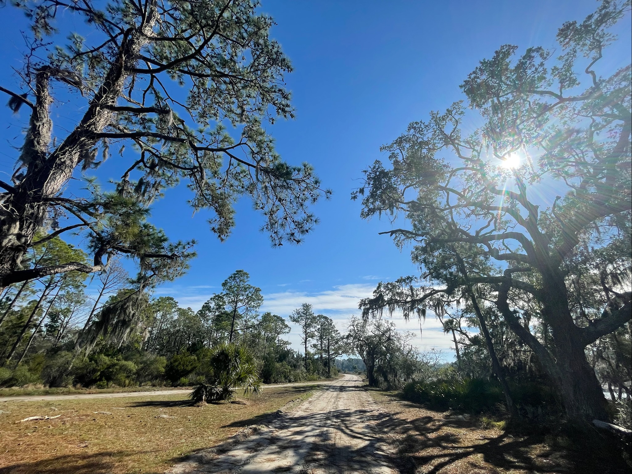 Beaufort County Protects 24 Acres for Public Use on St. Helena Island