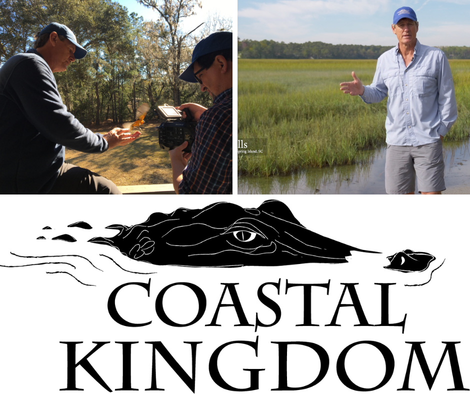 The County Channel Receives Fifth Southeastern EMMY Nomination  for Award-Winning Nature Series Coastal Kingdom