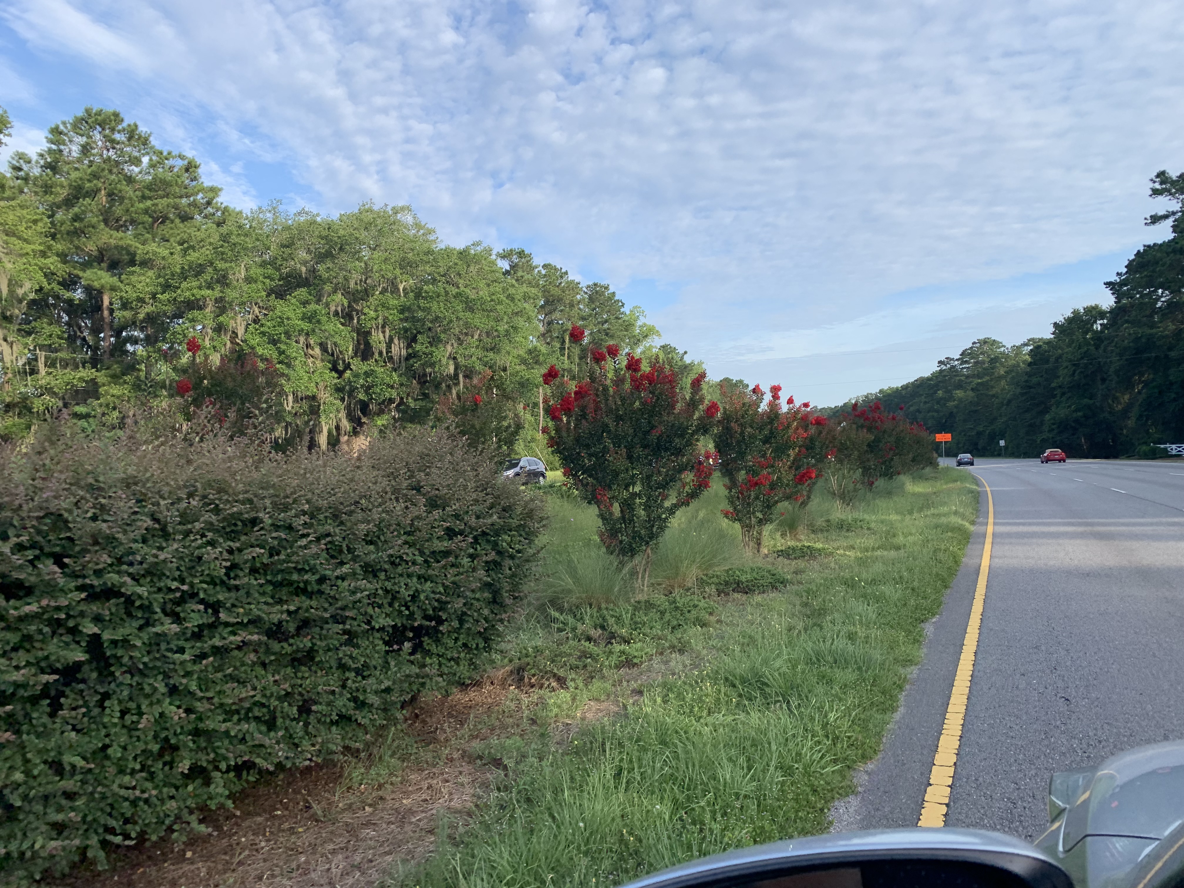 County Offers Warm Thanks to Southern Beaufort County Corridor Beautification Board Volunteers for Years of Service