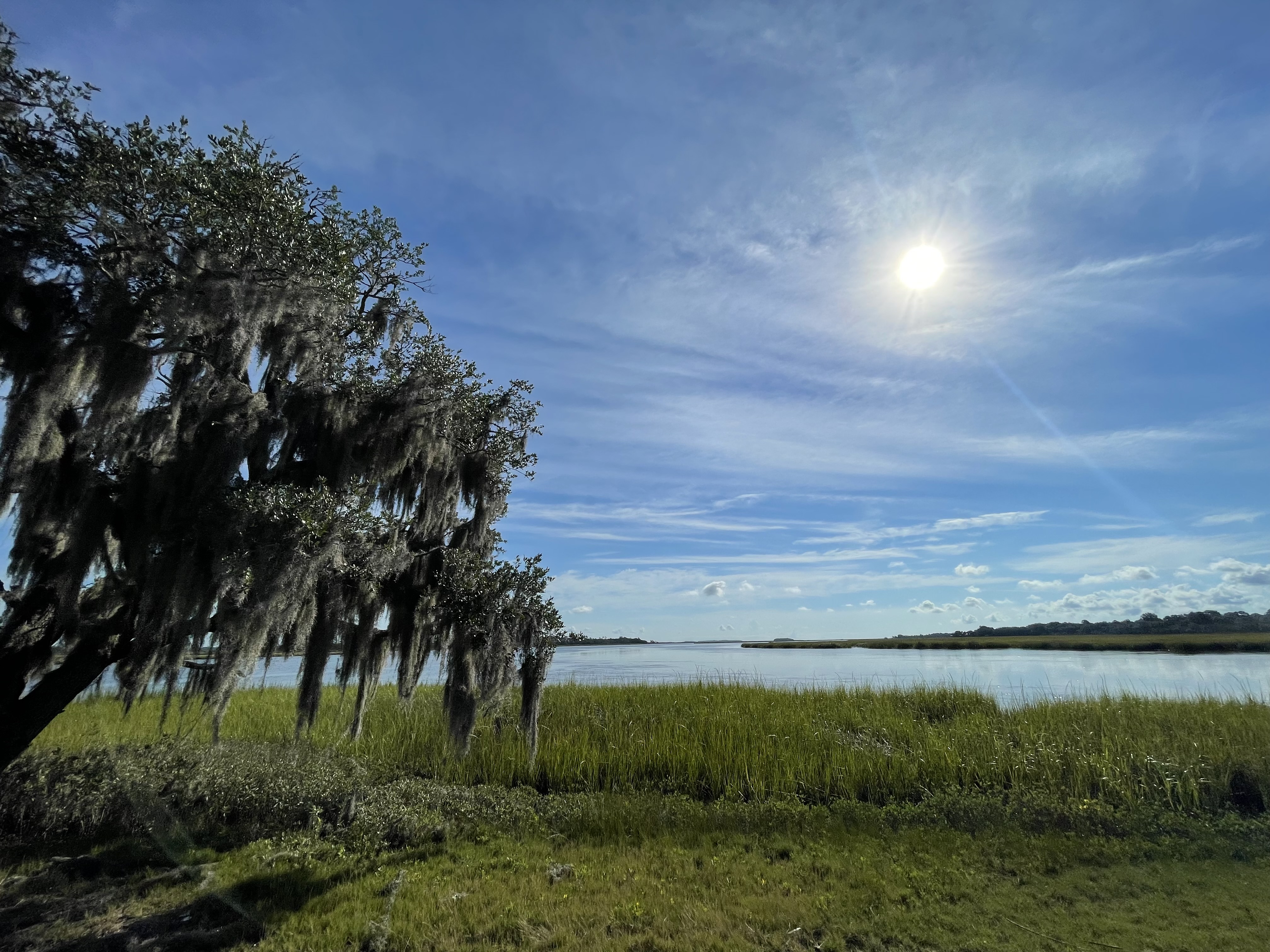 Conservation Easement  Secures Largest Unprotected Property in St. Helena Sound