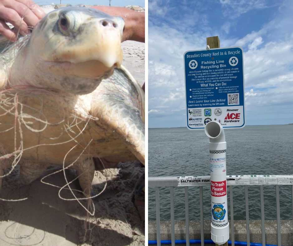 https://www.beaufortcountysc.gov/news/2023/Turtle-Fishing-Line-Recycle.png