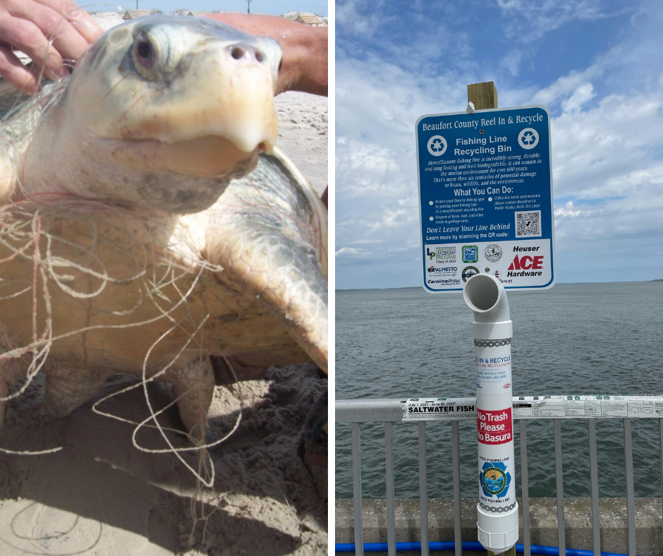 Turtle Fishing Recycle