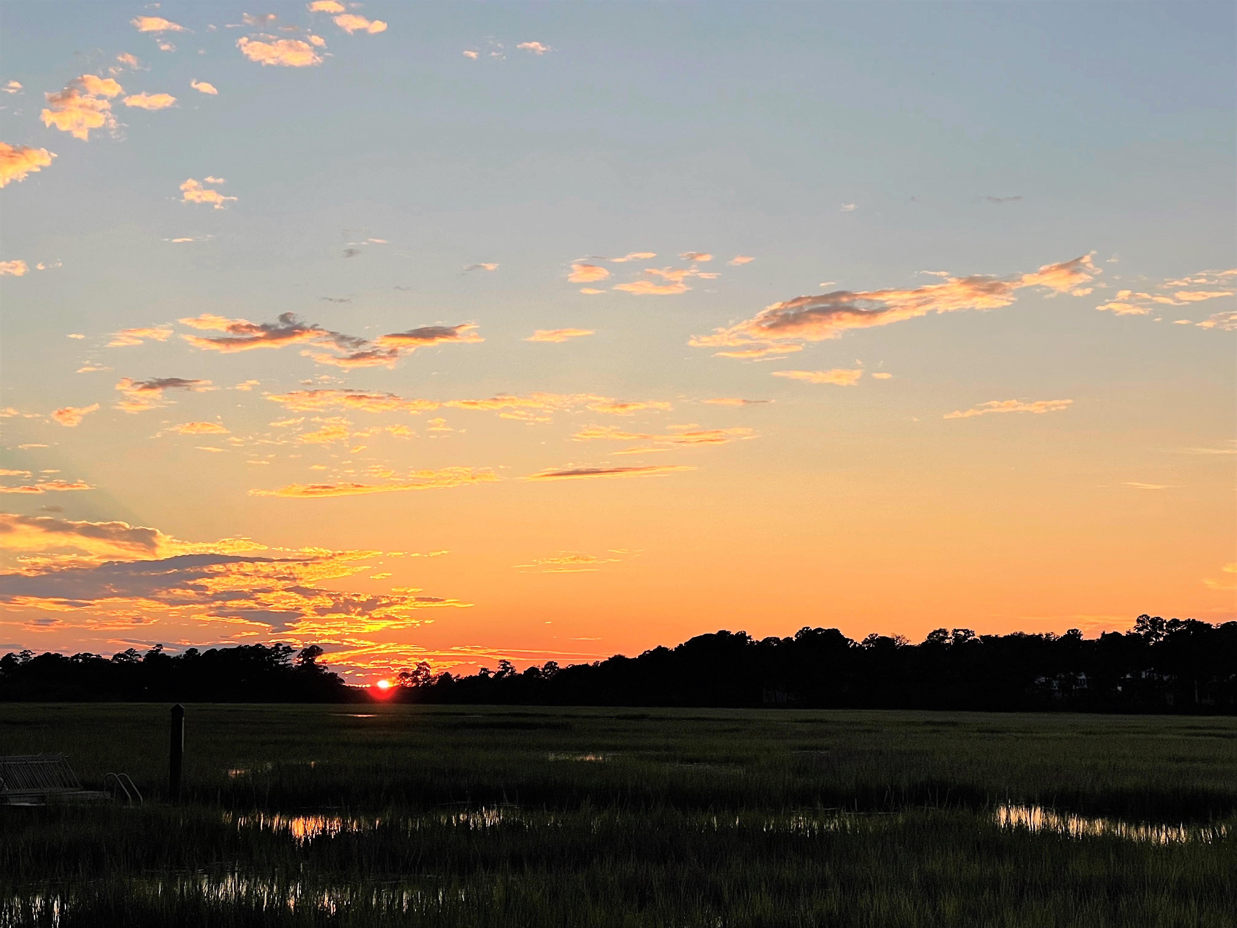 County Council Invites Residents in Southern Beaufort County to Apply for Green Space Advisory Committee