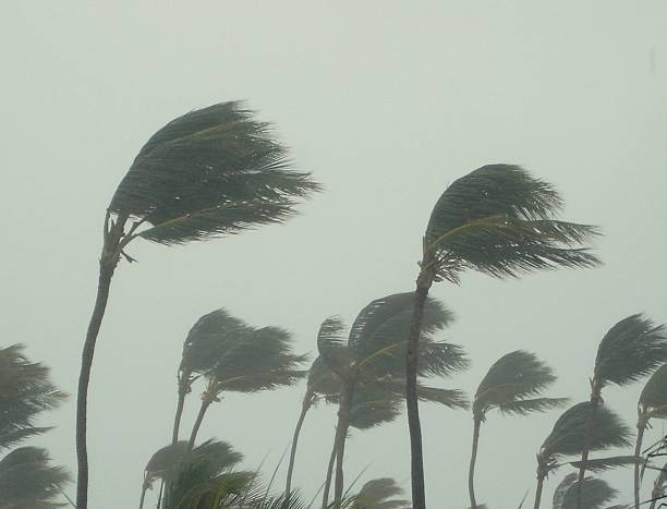 May is Hurricane Preparedness Month Get Prepared Now for Hurricane Season 