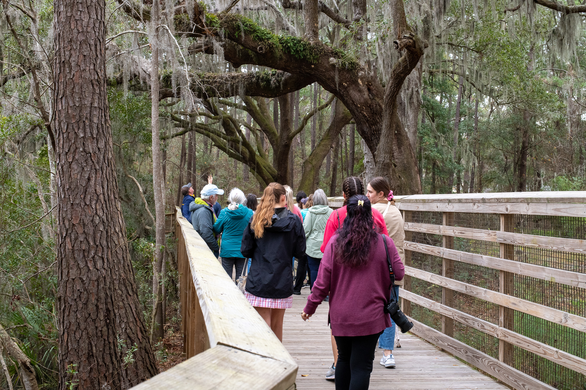 Trail Walk