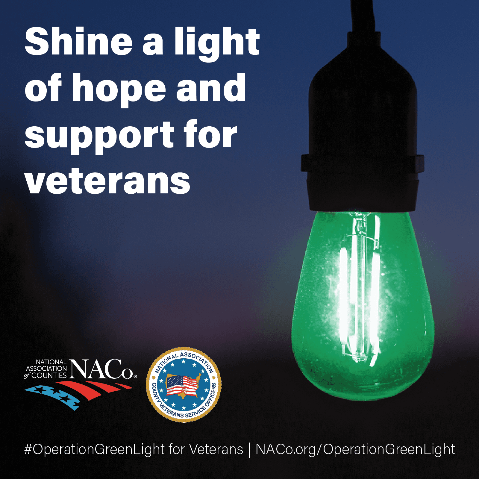 Beaufort County Celebrates November with Operation Green Light for Veterans-Administration Buildings Lighted Green in Recognition