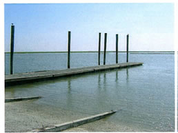 Station Creek dock